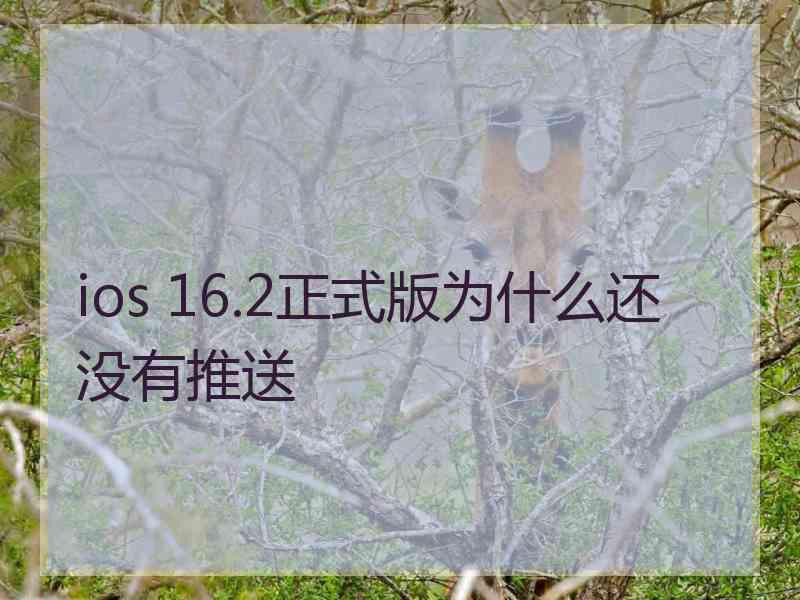 ios 16.2正式版为什么还没有推送