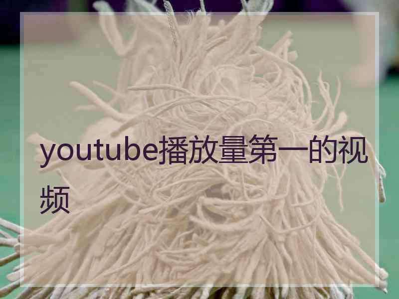 youtube播放量第一的视频