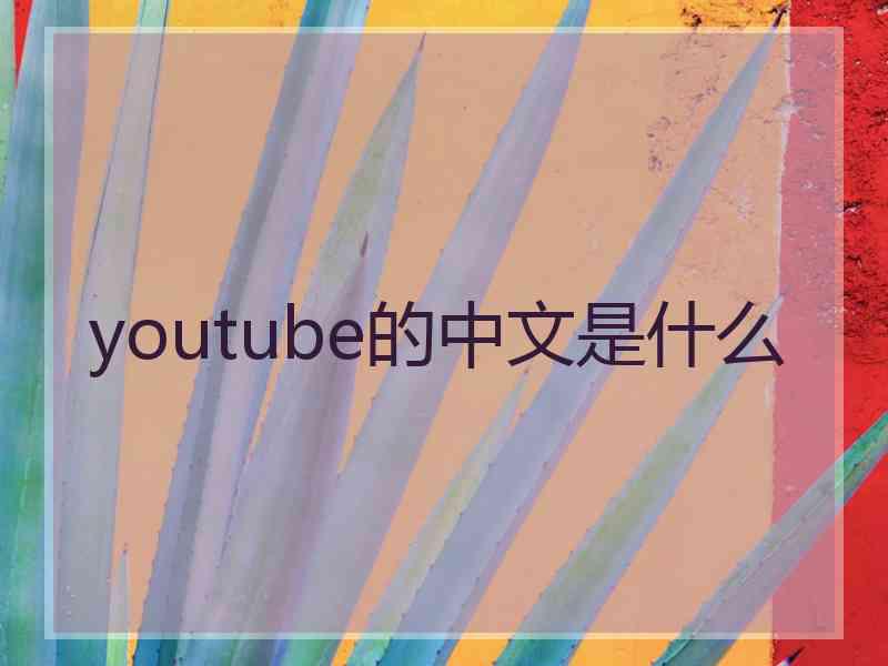 youtube的中文是什么