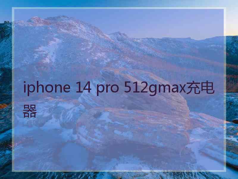 iphone 14 pro 512gmax充电器