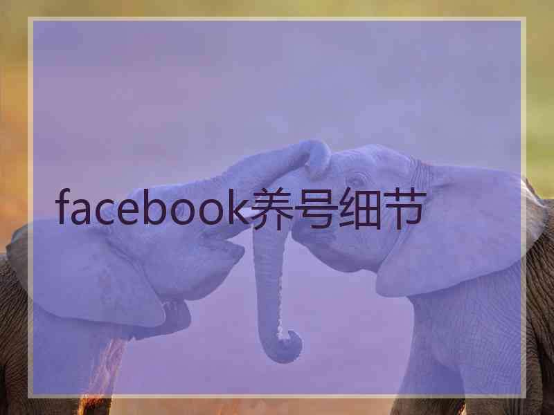 facebook养号细节