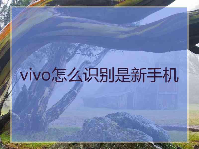 vivo怎么识别是新手机