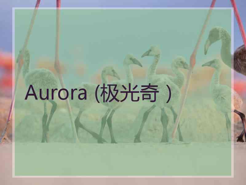 Aurora (极光奇）