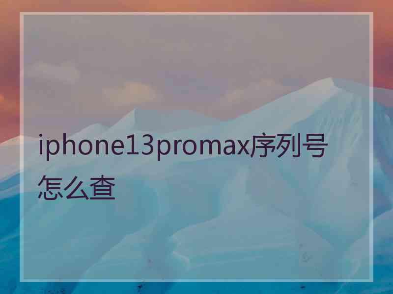 iphone13promax序列号怎么查