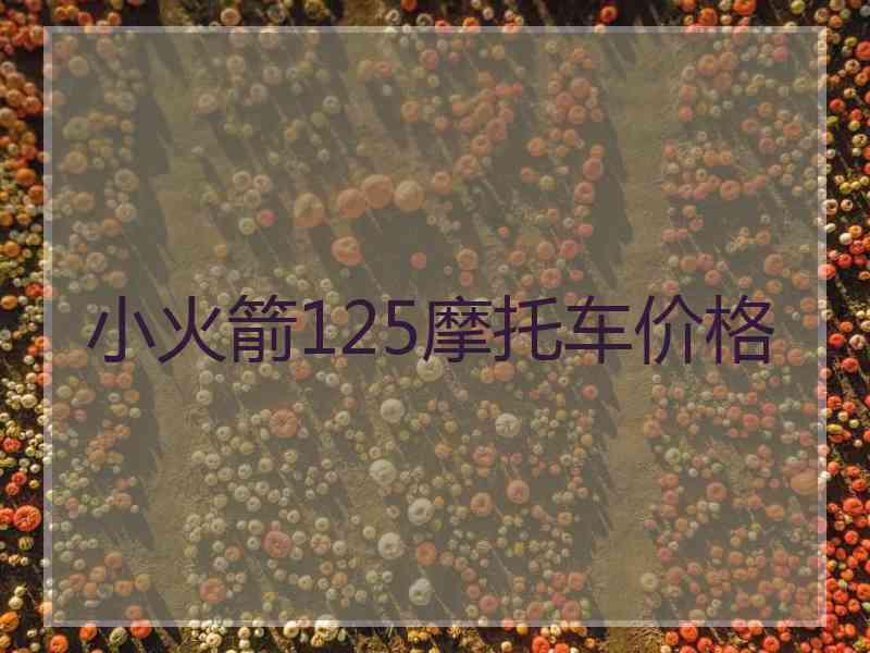 小火箭125摩托车价格