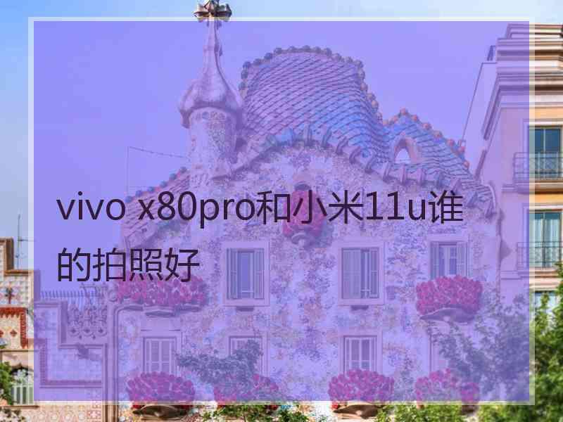 vivo x80pro和小米11u谁的拍照好