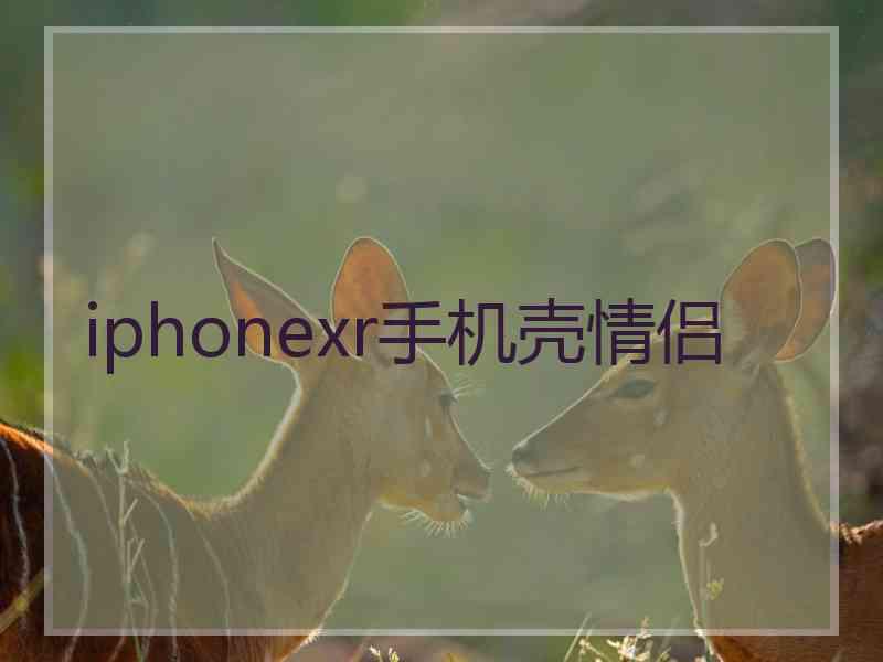 iphonexr手机壳情侣