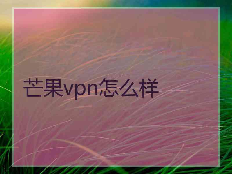 芒果vpn怎么样