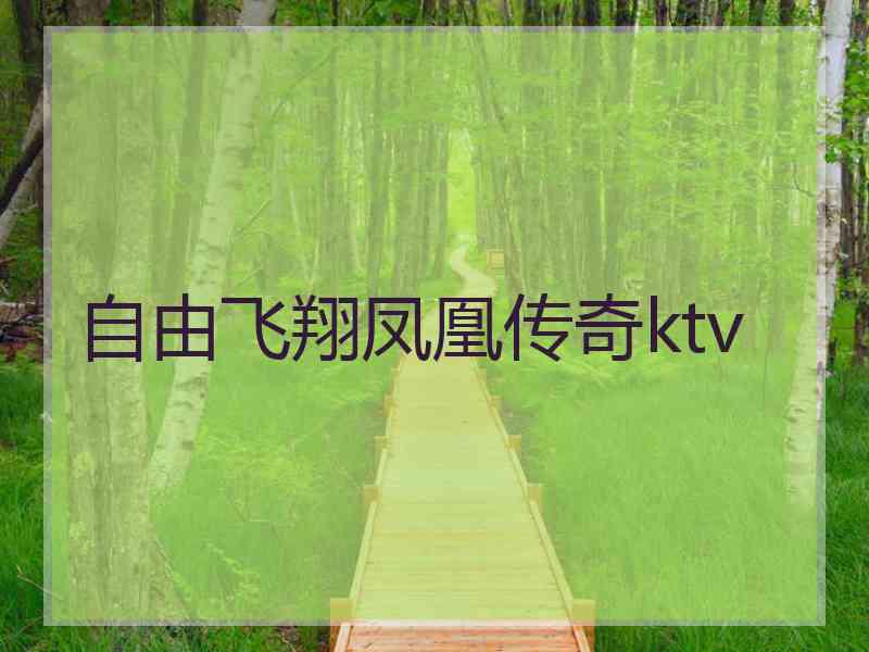 自由飞翔凤凰传奇ktv