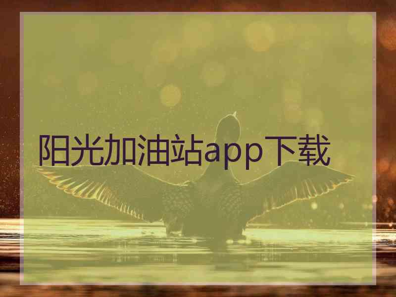 阳光加油站app下载