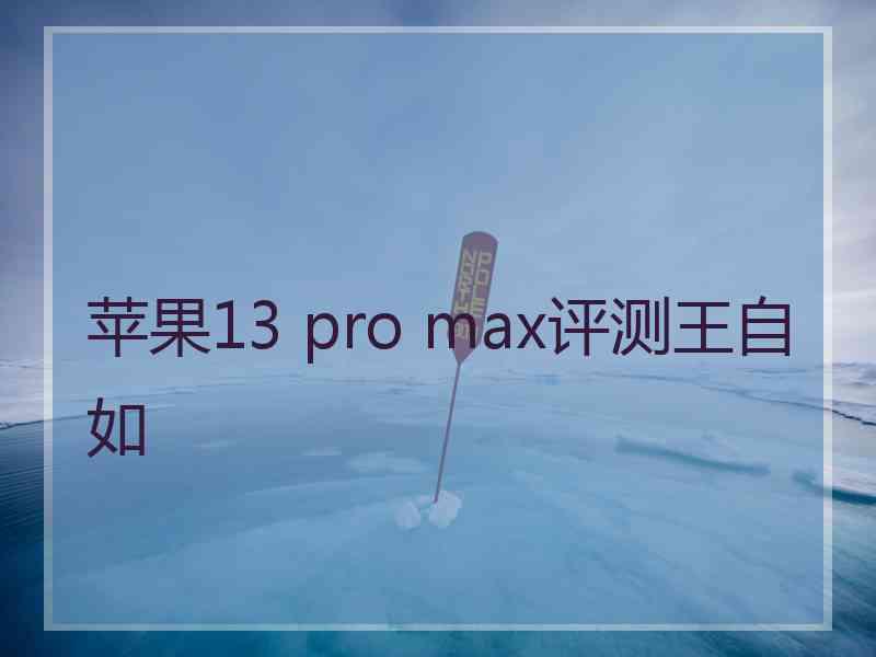 苹果13 pro max评测王自如