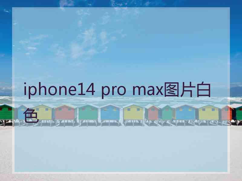 iphone14 pro max图片白色