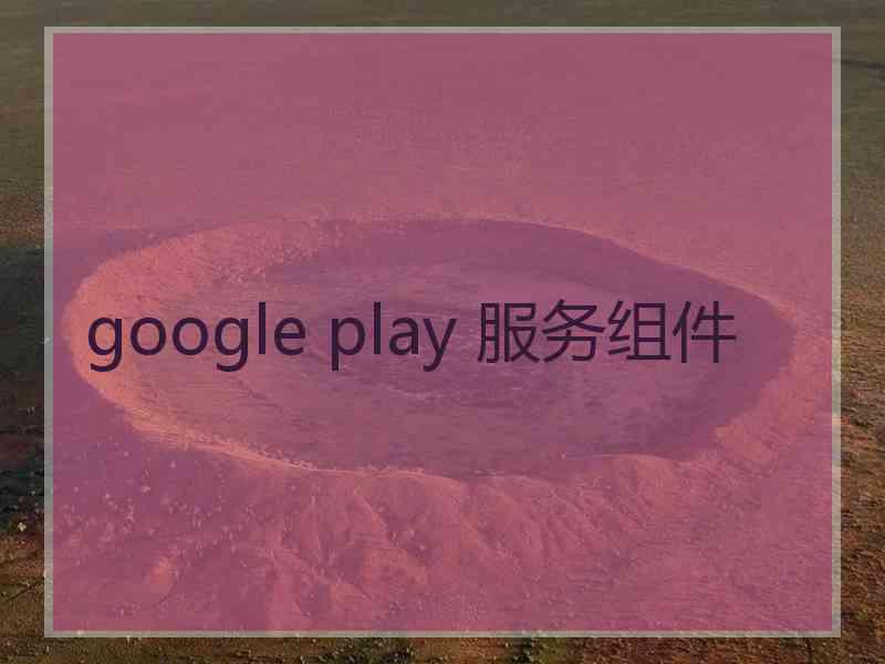 google play 服务组件