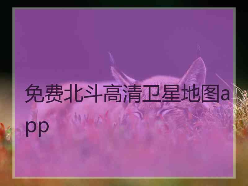 免费北斗高清卫星地图app