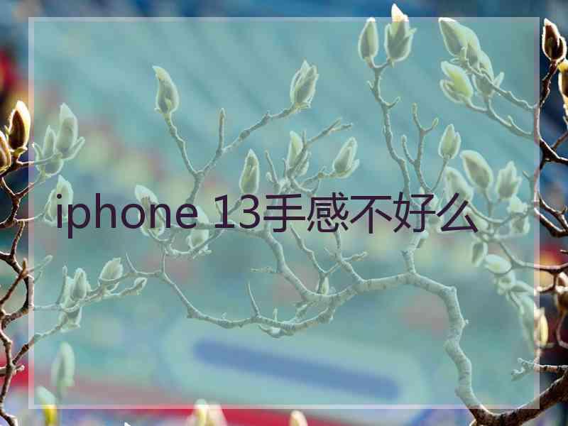 iphone 13手感不好么