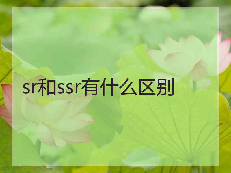 sr和ssr有什么区别