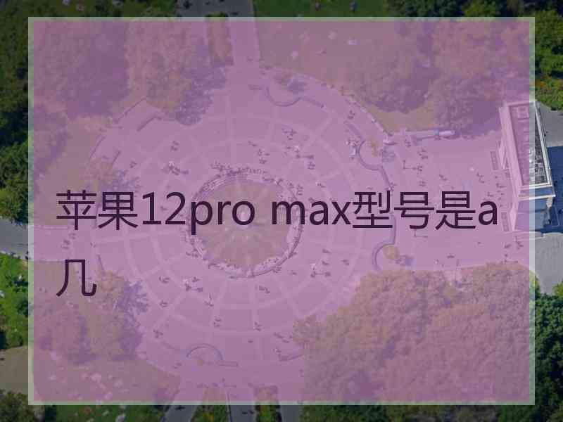 苹果12pro max型号是a几