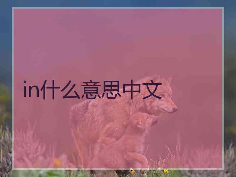 in什么意思中文