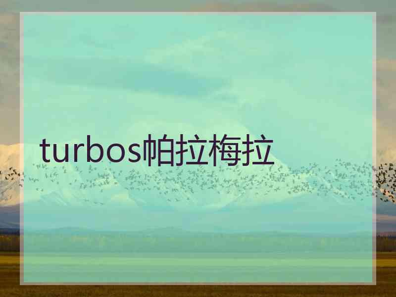 turbos帕拉梅拉