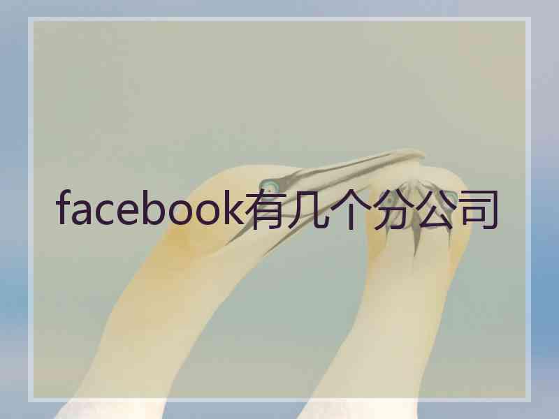 facebook有几个分公司