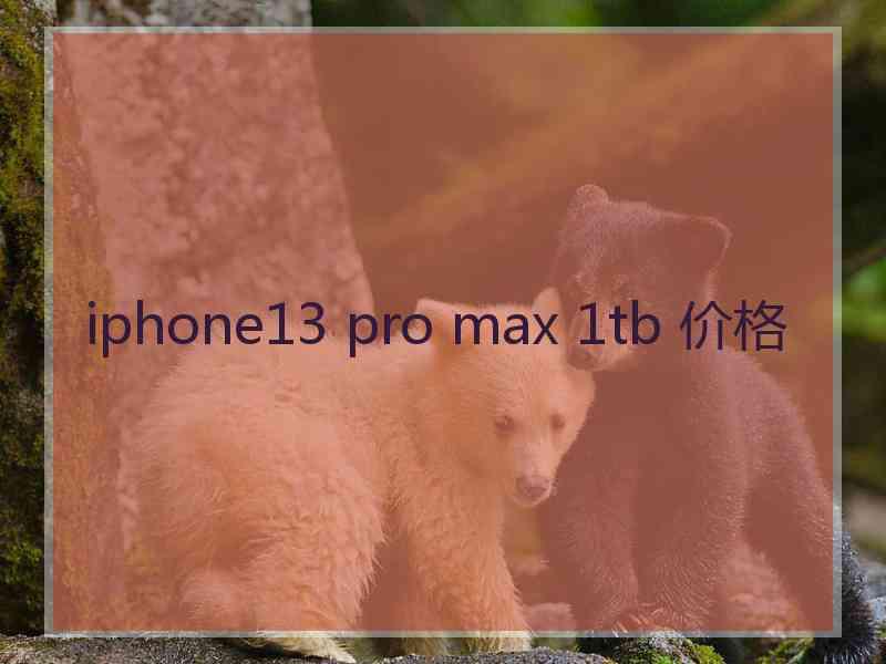 iphone13 pro max 1tb 价格