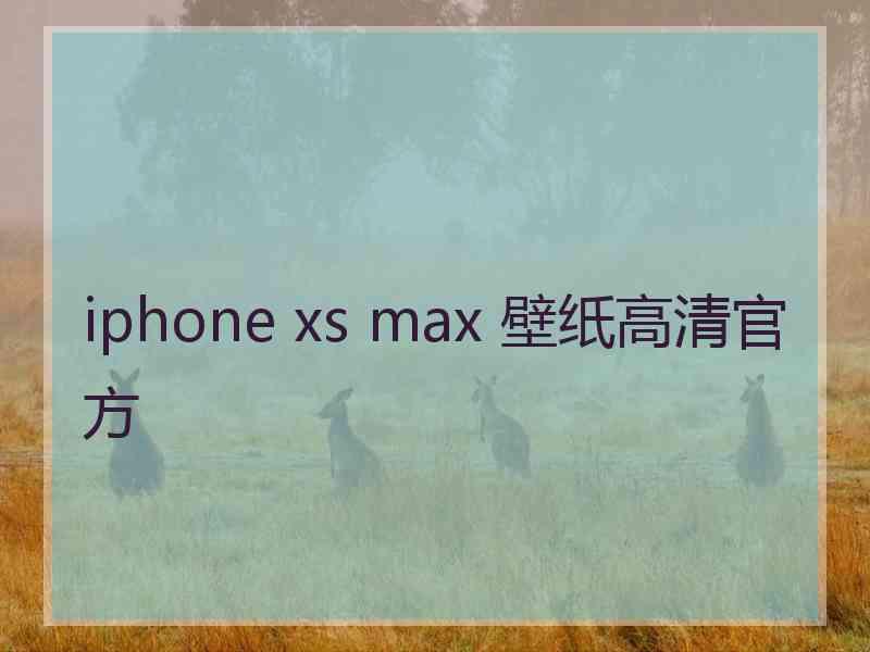 iphone xs max 壁纸高清官方