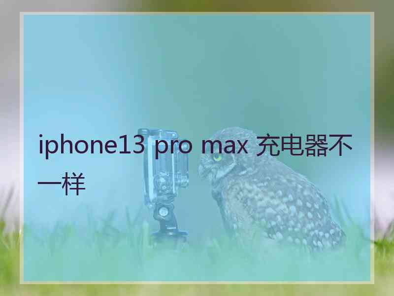 iphone13 pro max 充电器不一样