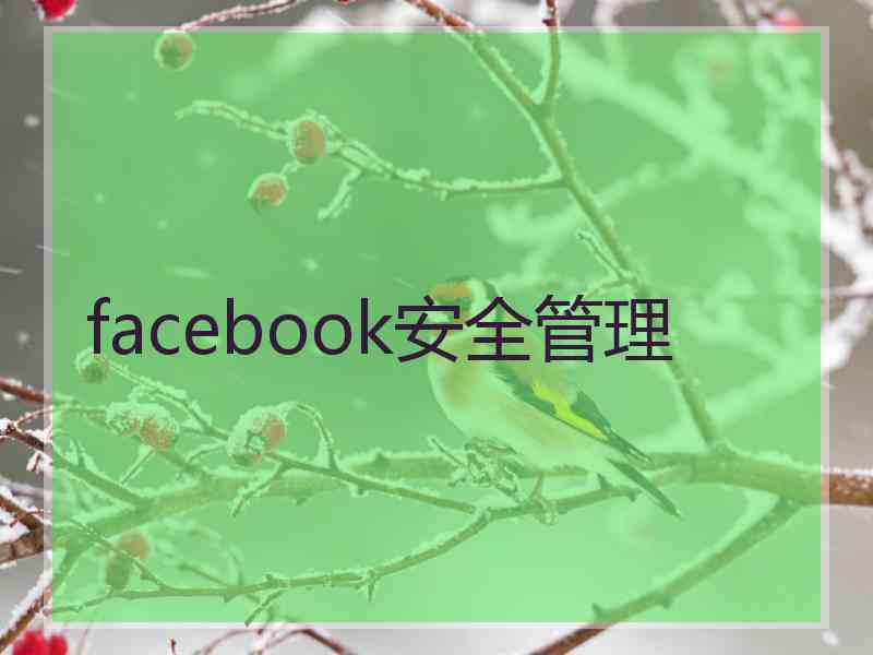 facebook安全管理