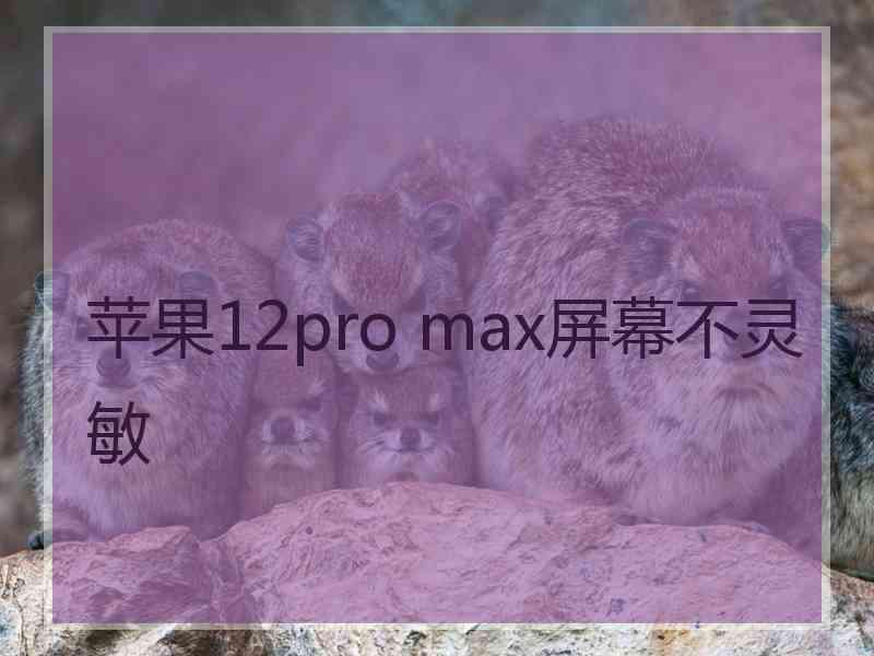 苹果12pro max屏幕不灵敏