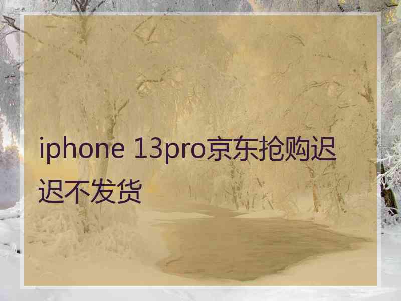 iphone 13pro京东抢购迟迟不发货