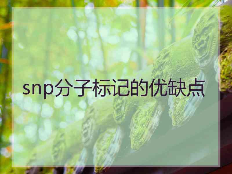 snp分子标记的优缺点