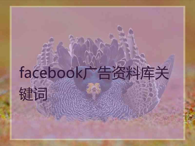 facebook广告资料库关键词