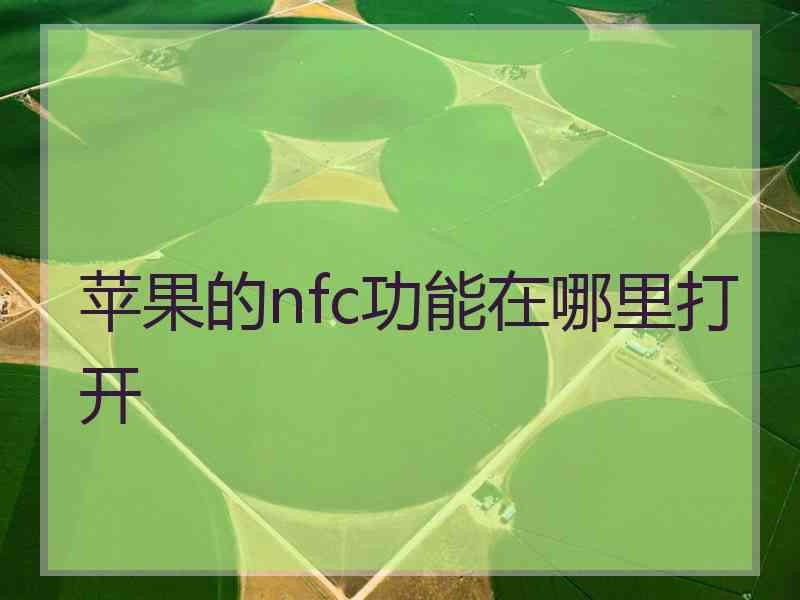 苹果的nfc功能在哪里打开