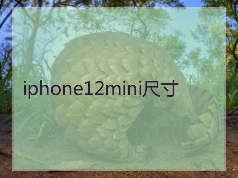 iphone12mini尺寸