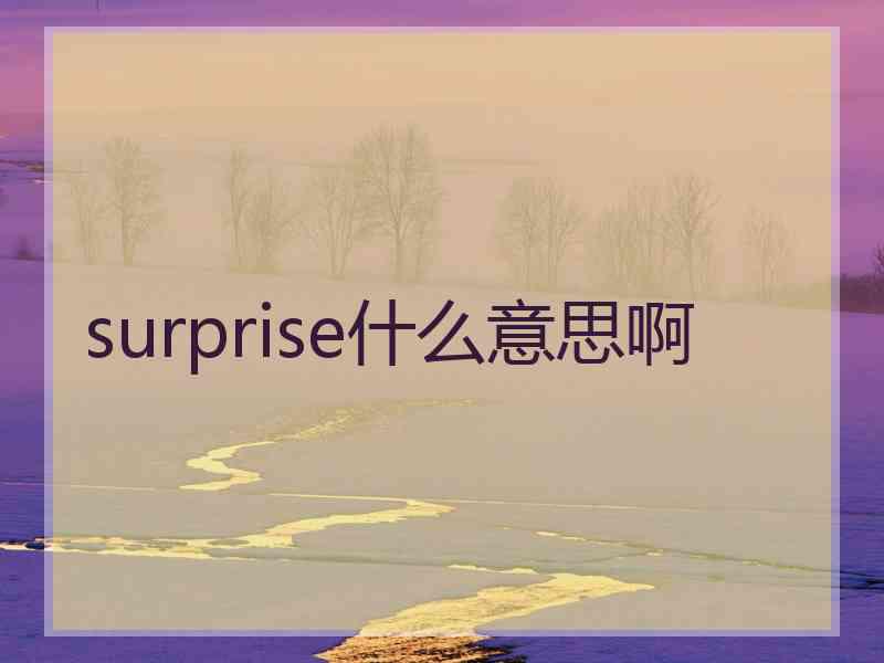 surprise什么意思啊