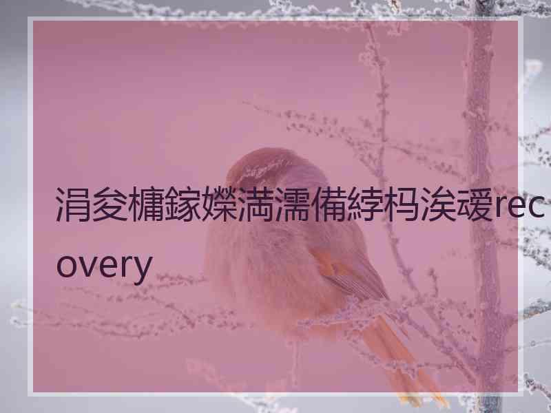 涓夋槦鎵嬫満濡備綍杩涘叆recovery