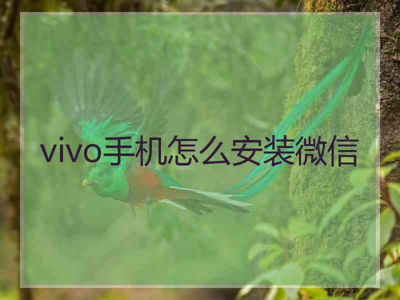 vivo手机怎么安装微信