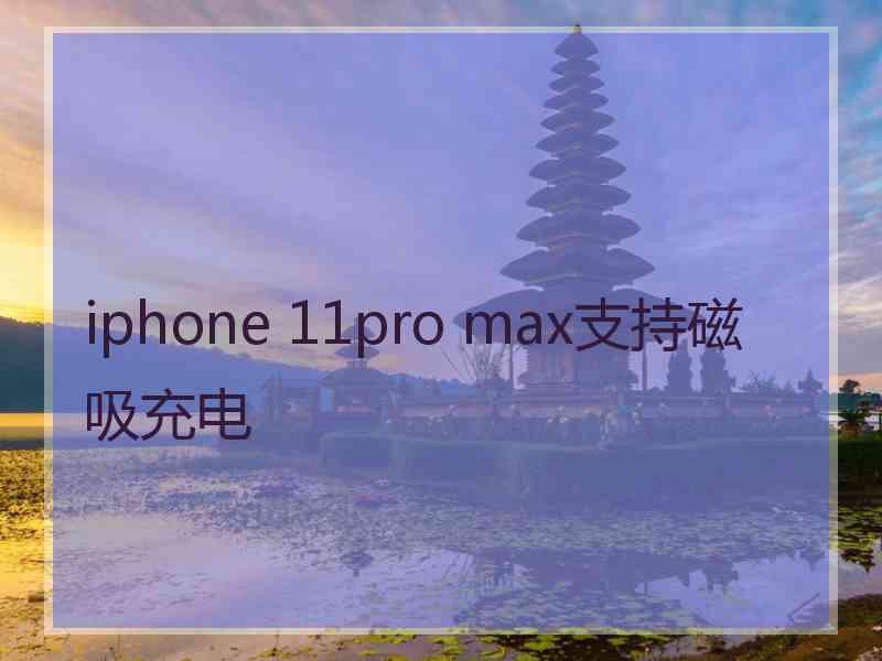 iphone 11pro max支持磁吸充电