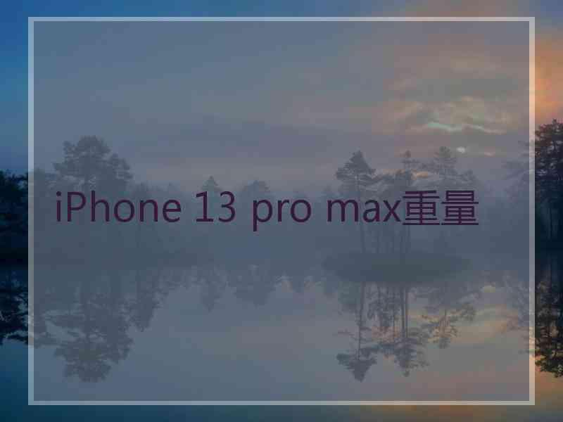 iPhone 13 pro max重量