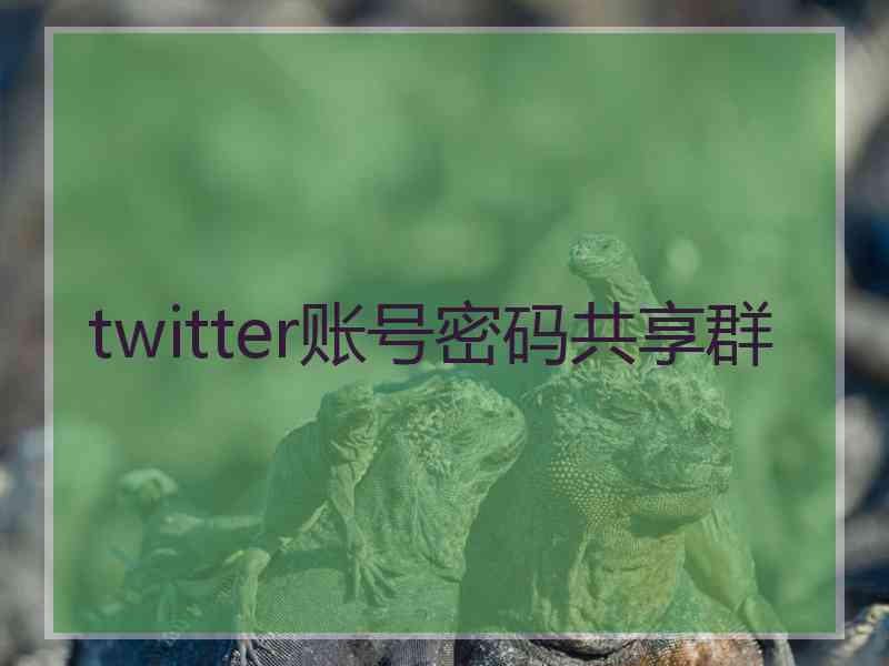 twitter账号密码共享群