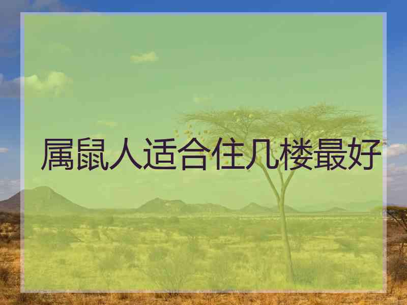 属鼠人适合住几楼最好