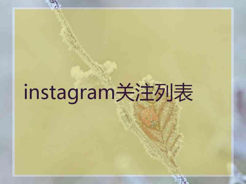 instagram关注列表