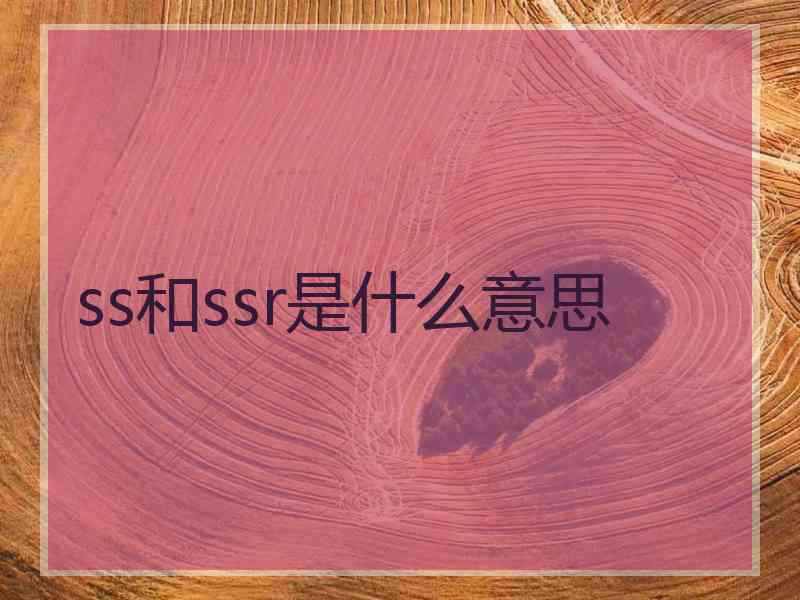 ss和ssr是什么意思