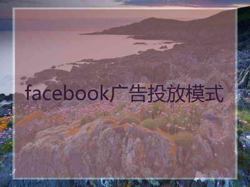 facebook广告投放模式