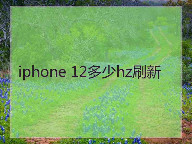 iphone 12多少hz刷新