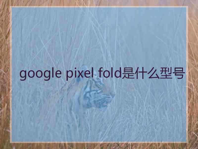 google pixel fold是什么型号