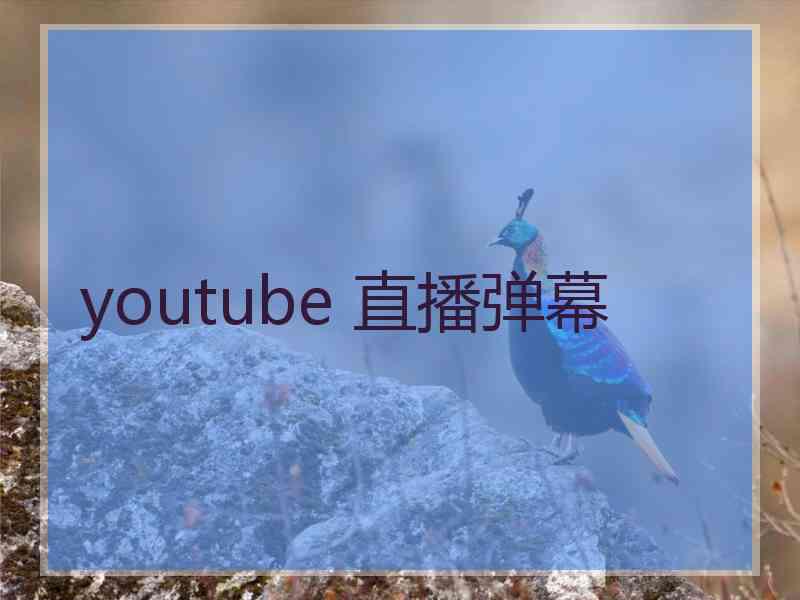 youtube 直播弹幕