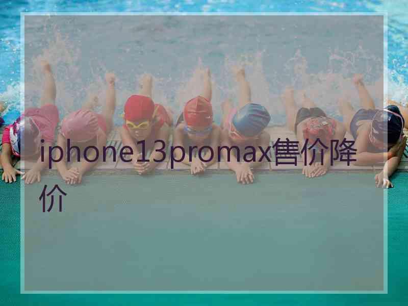 iphone13promax售价降价