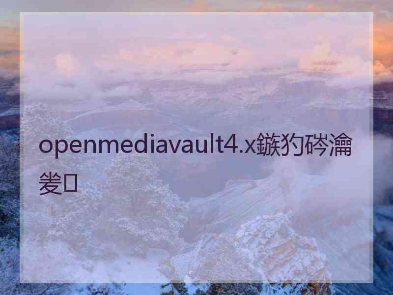 openmediavault4.x鏃犳硶瀹夎