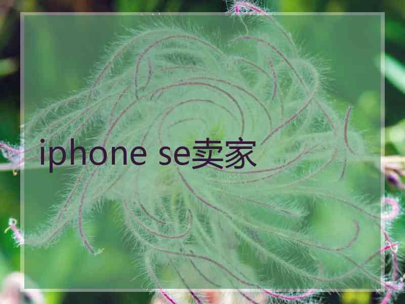 iphone se卖家